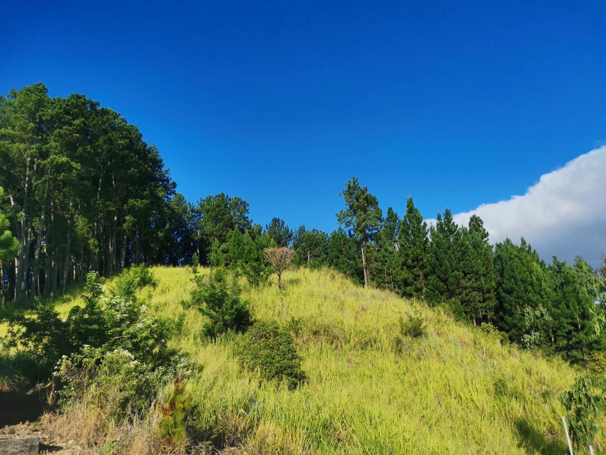 Mountain Peak Ella Bed & Breakfast Luaran gambar