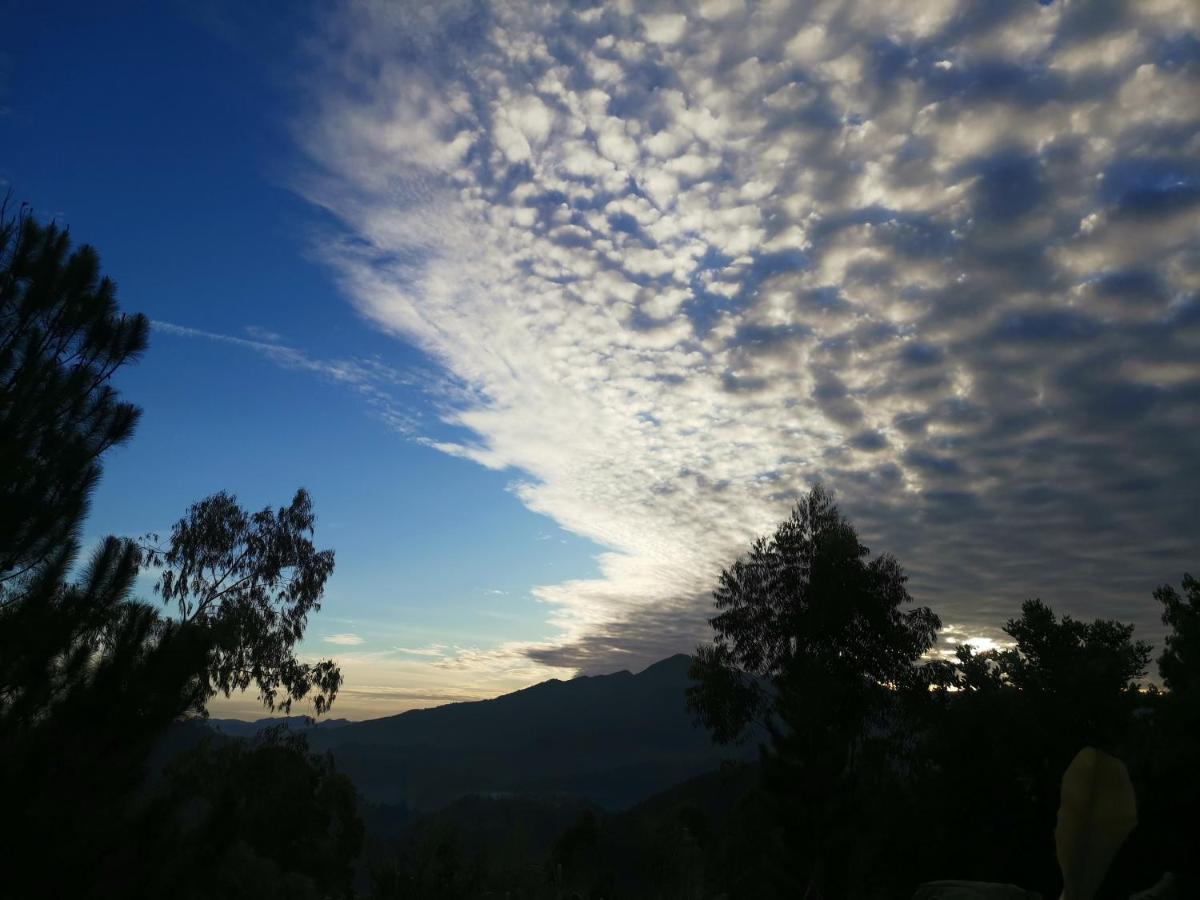 Mountain Peak Ella Bed & Breakfast Luaran gambar