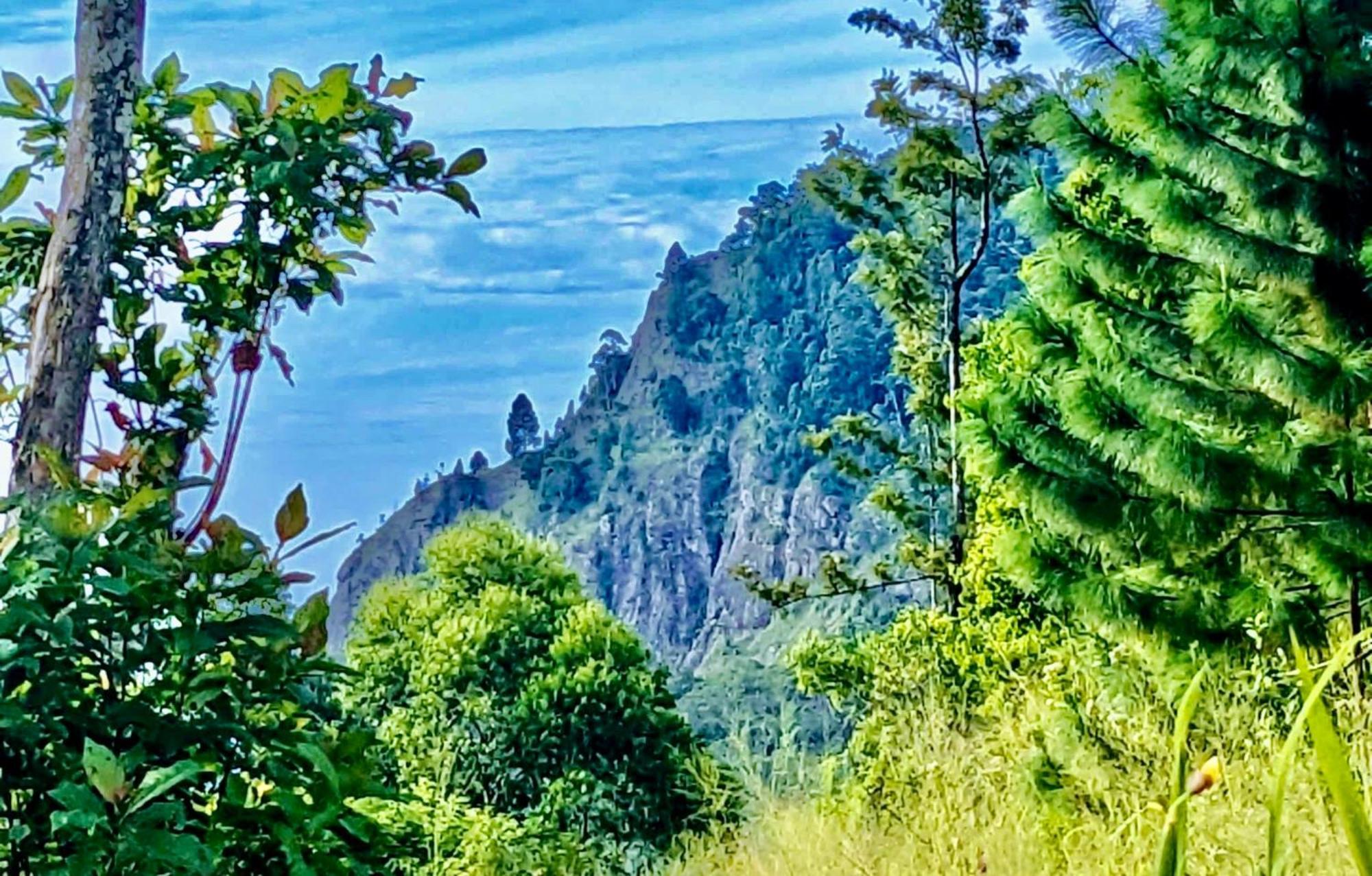 Mountain Peak Ella Bed & Breakfast Luaran gambar
